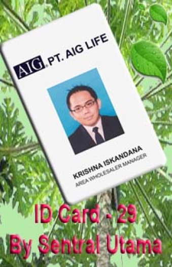 ID Card 29