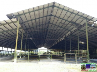 Jual Tanah Ex Peternakan Sapi Sukabumi